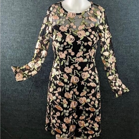 Embroidered Floral Illusion Dress, Minuet - Picture 1 of 9